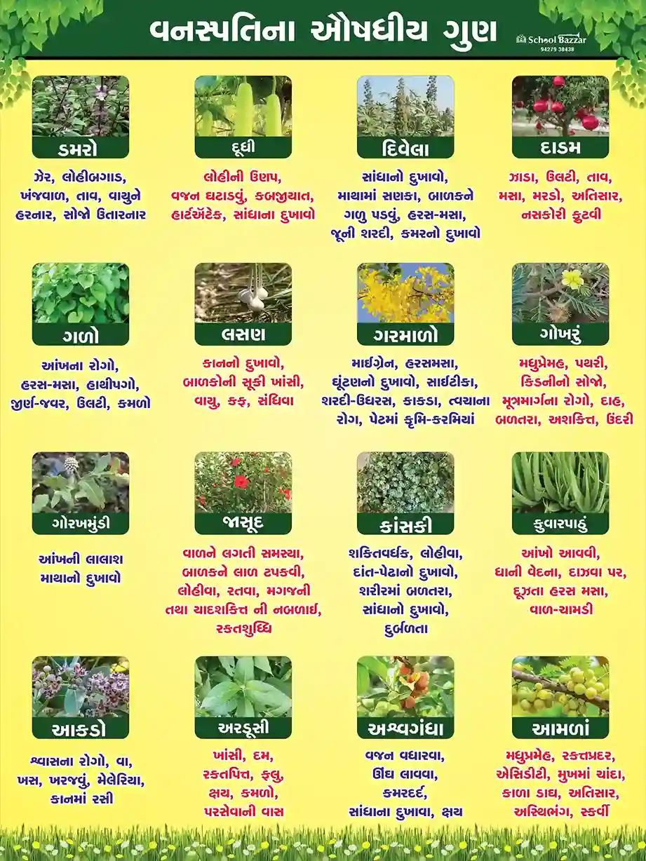 Medicinal Properties of Plants (વનસ્પતિના ઔષધીય ગુણ) 1.5feet × 2feet 5 mm Foam Sheet