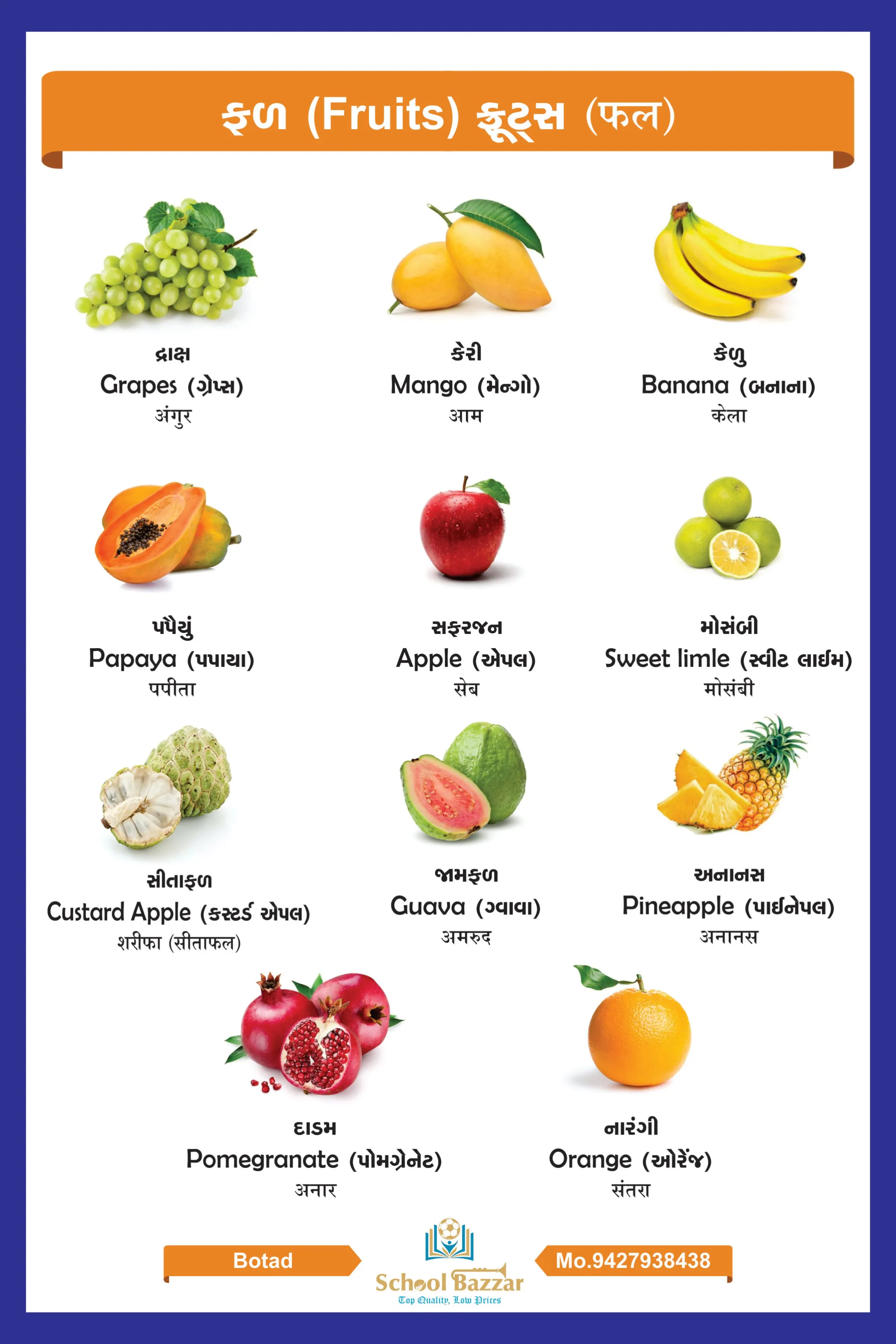 Fruit Chart With lamination (50 x 70 cm) Wall Chart